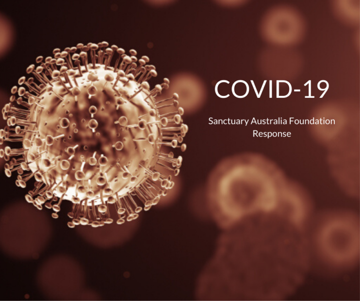 Covid 19 Sanctuary's response